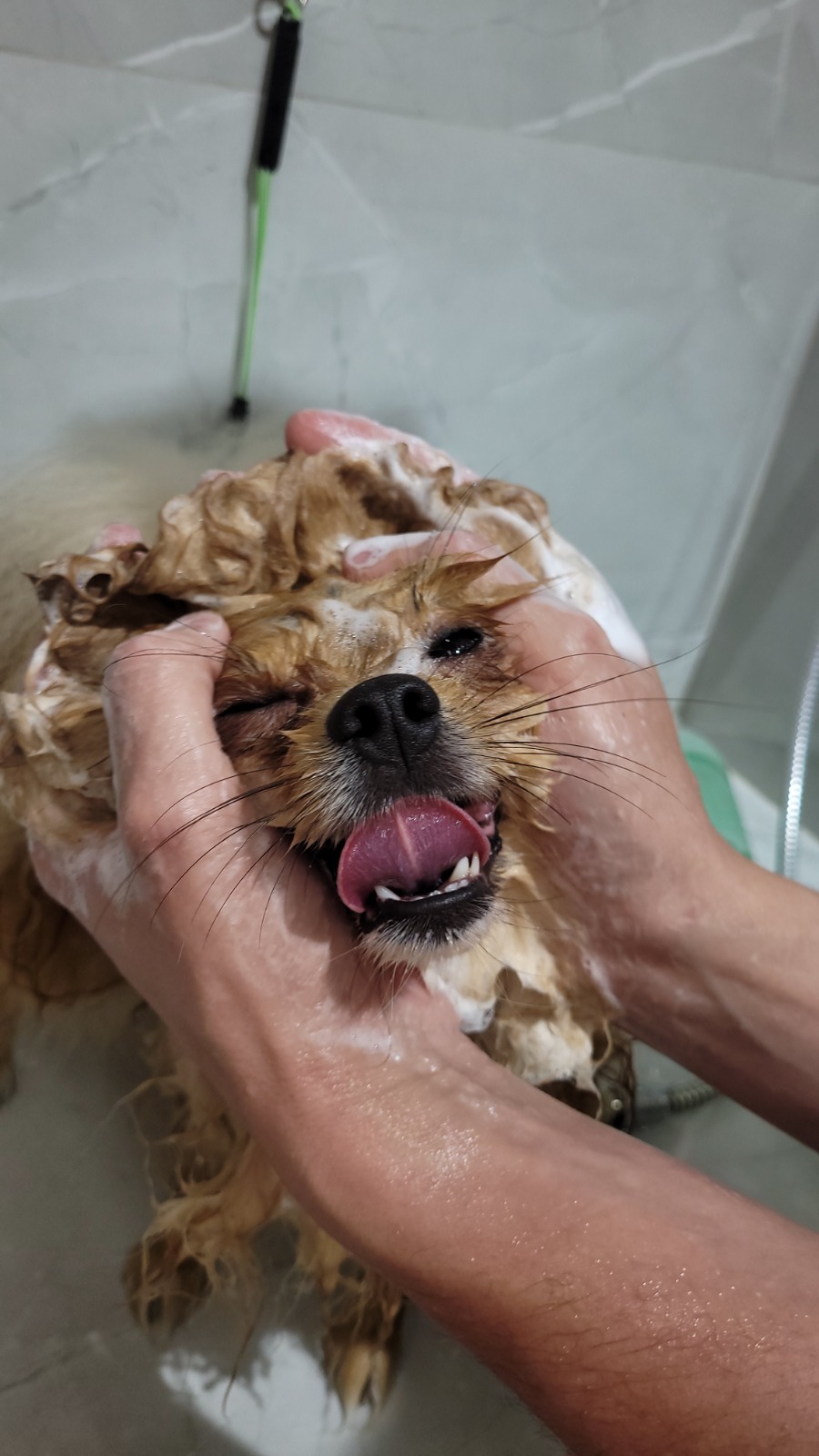 Banho